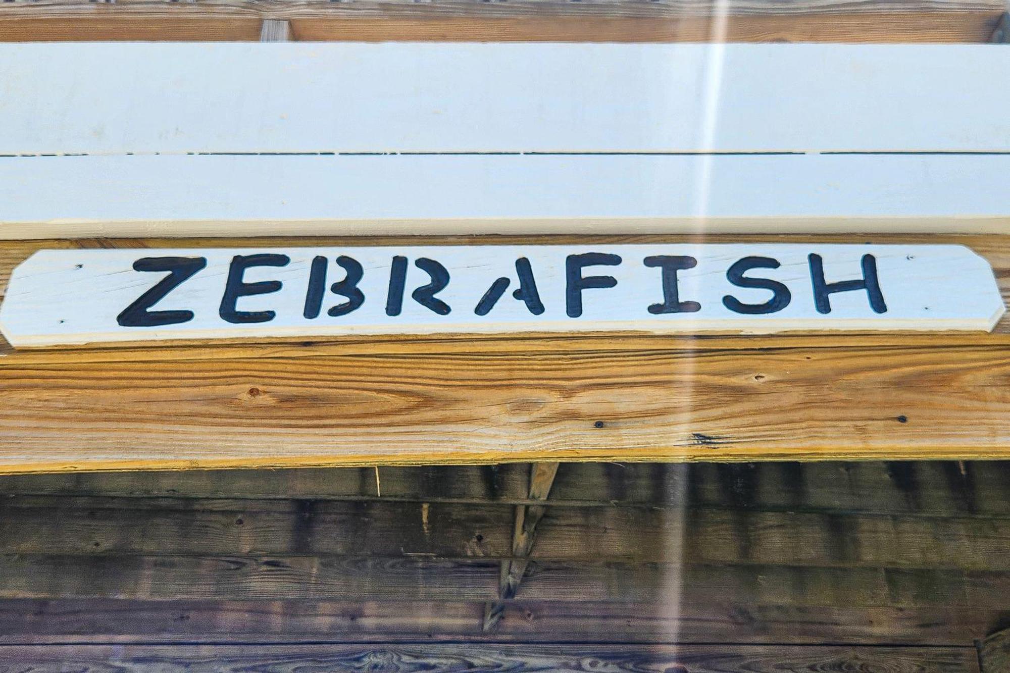 Yellowfin & Zebrafish 벅스턴 객실 사진